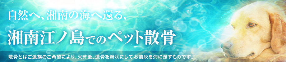 江ノ島でペット散骨